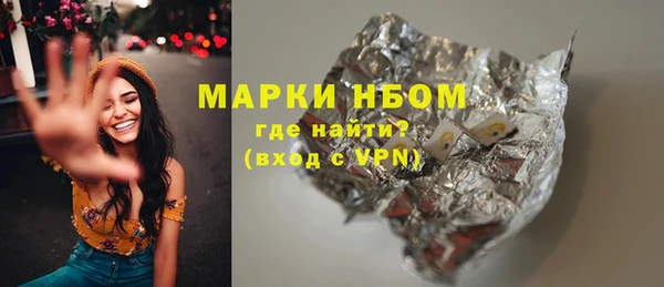стаф Алзамай