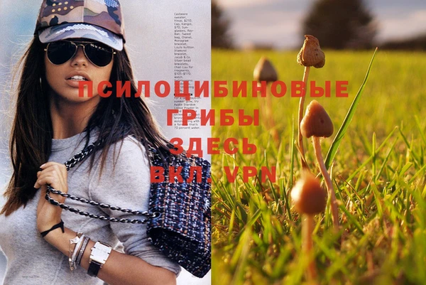 MDMA Арсеньев